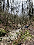 IMG_4719