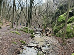 IMG_4724