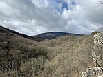 IMG_4739