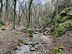 IMG_4749