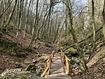 IMG_4756