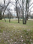 IMG_20230309_122728_166 (1)