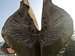 IMG_20230304_151318