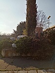 IMG_20230304_151203
