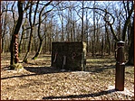 A tisztáson