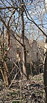 IMG_20230318_122412
