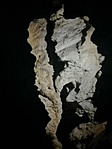 A helyi lakos