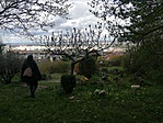Kilátás