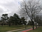 IMG_20230314_154854