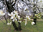 IMG_20230314_154909