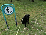IMG_20230314_155219