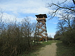 IMG_5702