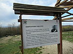 IMG_5704