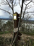 IMG_7786_1