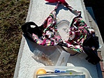 IMG_20230304_093810