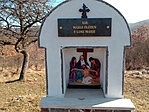 IMG_20230304_093848