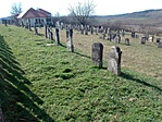 IMG_20230312_125744