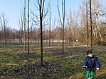 IMG_20230304_154518.jpg