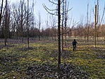GCKOND_20230304_154547