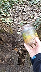 IMG_20230322_164146