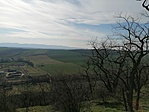 IMG_20230318_144431