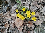 IMG_20230326_153251