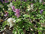 IMG_20230326_111456