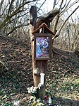 IMG_20230304_113050