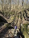 IMG_2505