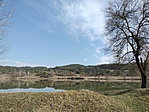 IMG20230303104939