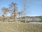 IMG20230303104952