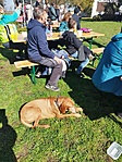 IMG_20230312_112048