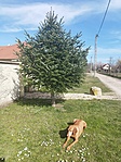IMG_20230319_134114