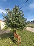 IMG_20230319_134132