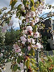 IMG_20230420_163113