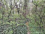 IMG_20230406_173720