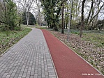 IMG_20230406_173803