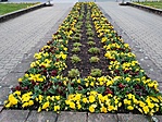 IMG_20230408_094816