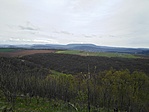 IMG_20230416_122038