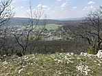 IMG_5510