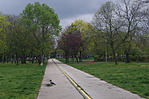 IMGP2678