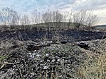 IMG_20230331_182817
