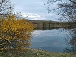 IMG_20230331_185302