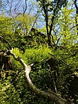 IMG_20230423_105738