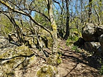 IMG_20230423_110349