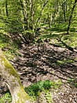 IMG_20230423_125231