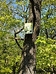 IMG_20230423_140434