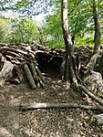 IMG_20230423_142339