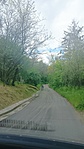 Forrás vadàszok