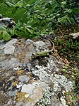 IMG_20230422_160917